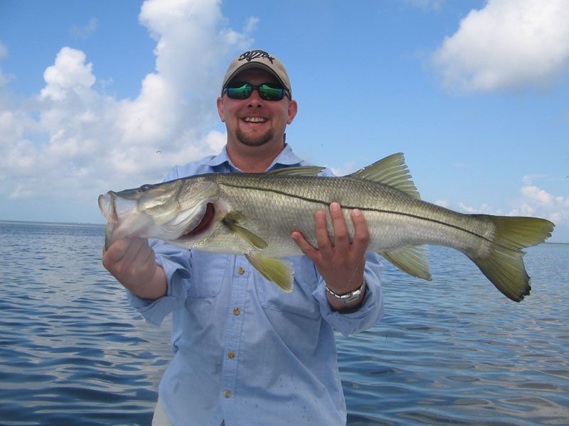 Snook Fishing in Tampa Bay.